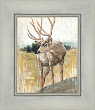 Load image into Gallery viewer, Colors of The Wild
