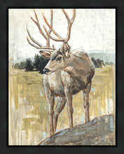 Load image into Gallery viewer, Colors of The Wild