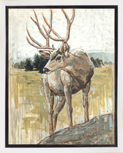 Load image into Gallery viewer, Colors of The Wild Gallery Wrap