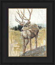 Load image into Gallery viewer, Colors of The Wild