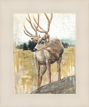 Load image into Gallery viewer, Colors of The Wild