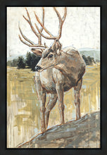 Load image into Gallery viewer, Colors of The Wild