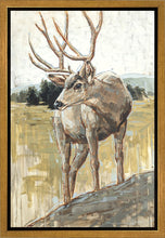 Load image into Gallery viewer, Colors of The Wild