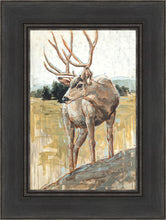 Load image into Gallery viewer, Colors of The Wild