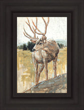 Load image into Gallery viewer, Colors of The Wild
