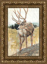 Load image into Gallery viewer, Colors of The Wild
