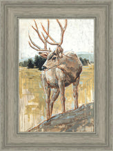 Load image into Gallery viewer, Colors of The Wild