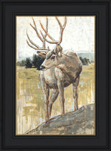 Load image into Gallery viewer, Colors of The Wild