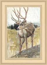Load image into Gallery viewer, Colors of The Wild