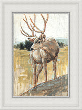 Load image into Gallery viewer, Colors of The Wild
