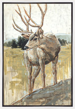 Load image into Gallery viewer, Colors of The Wild Gallery Wrap