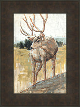 Load image into Gallery viewer, Colors of The Wild