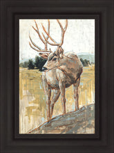 Load image into Gallery viewer, Colors of The Wild