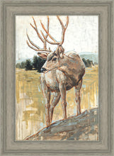Load image into Gallery viewer, Colors of The Wild