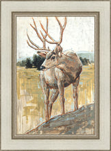 Load image into Gallery viewer, Colors of The Wild