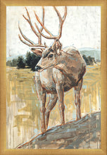 Load image into Gallery viewer, Colors of The Wild