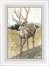 Load image into Gallery viewer, Colors of The Wild