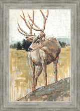 Load image into Gallery viewer, Colors of The Wild