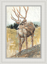 Load image into Gallery viewer, Colors of The Wild