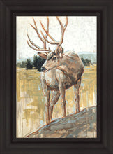 Load image into Gallery viewer, Colors of The Wild