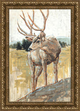 Load image into Gallery viewer, Colors of The Wild