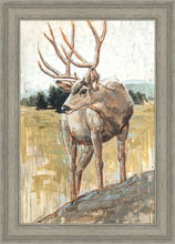 Load image into Gallery viewer, Colors of The Wild