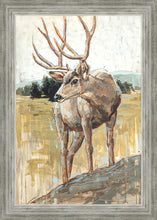 Load image into Gallery viewer, Colors of The Wild