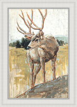 Load image into Gallery viewer, Colors of The Wild