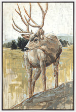 Load image into Gallery viewer, Colors of The Wild Gallery Wrap