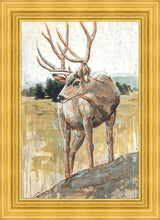 Load image into Gallery viewer, Colors of The Wild