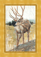 Load image into Gallery viewer, Colors of The Wild