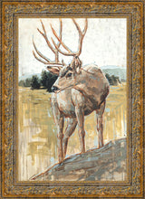 Load image into Gallery viewer, Colors of The Wild