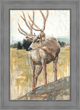 Load image into Gallery viewer, Colors of The Wild