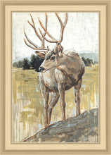 Load image into Gallery viewer, Colors of The Wild