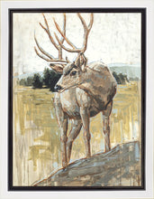 Load image into Gallery viewer, Colors of The Wild Gallery Wrap