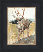 Load image into Gallery viewer, Colors of The Wild