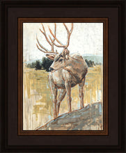 Load image into Gallery viewer, Colors of The Wild