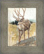 Load image into Gallery viewer, Colors of The Wild