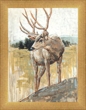 Load image into Gallery viewer, Colors of The Wild
