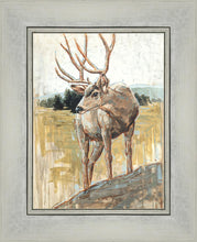 Load image into Gallery viewer, Colors of The Wild
