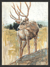 Load image into Gallery viewer, Colors of The Wild
