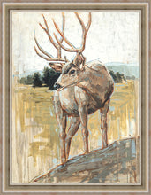 Load image into Gallery viewer, Colors of The Wild