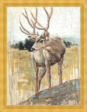 Load image into Gallery viewer, Colors of The Wild