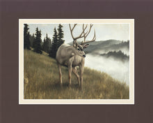 Load image into Gallery viewer, Nature's Silence Gallery Wrap