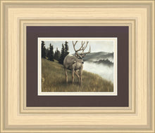 Load image into Gallery viewer, Nature's Silence Gallery Wrap