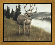 Load image into Gallery viewer, Nature's Silence Gallery Wrap