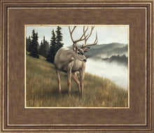 Load image into Gallery viewer, Nature's Silence
