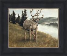 Load image into Gallery viewer, Nature's Silence