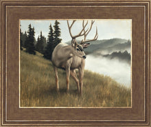 Load image into Gallery viewer, Nature's Silence