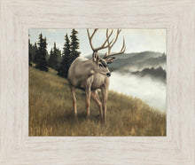 Load image into Gallery viewer, Nature's Silence